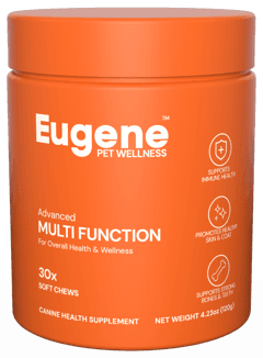 Eugene Daily Support